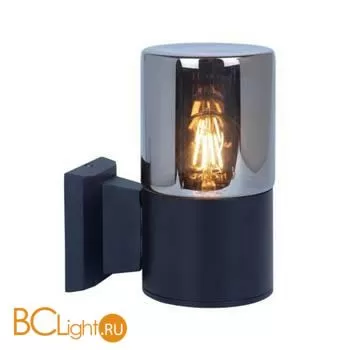 Уличный настенный светильник Arte Lamp Wazn A6218AL-1BK