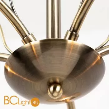 Люстра Arte Lamp Willow A3461PL-5AB - Фото 1