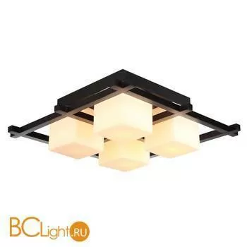 Потолочный светильник Arte Lamp Woods A8252PL-4CK