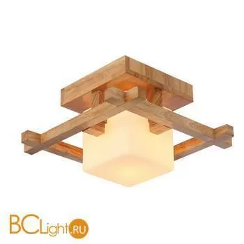 Потолочный светильник Arte Lamp Woods A8252PL-1BR