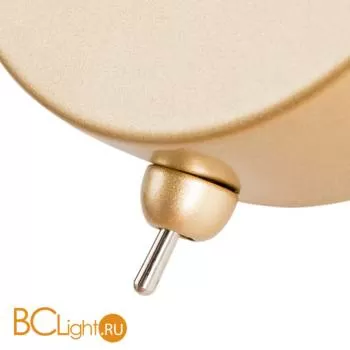 Бра Arte Lamp Yuka A4103AP-1GO - Фото 2