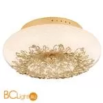 Потолочный светильник Arte Lamp Zucca A9111PL-4GO