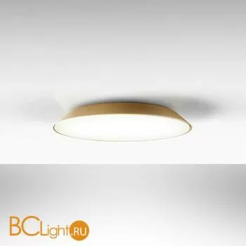 Потолочный светильник Artemide Febe 0241W20A