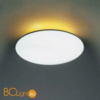 Потолочный светильник Artemide Float 0367010A + 0369040A