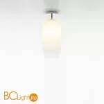 Потолочный светильник Artemide Gople 1414020A