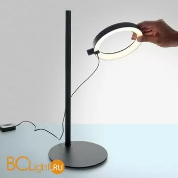 Настольный светильник Artemide Ipparco 1607010A - Фото 0