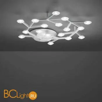 Потолочный светильник Artemide Led Net 1594050APP