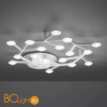 Потолочный светильник Artemide Led Net 1594050A