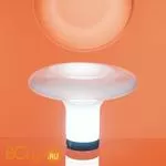 Настольный светильник Artemide Lesbo 0054010A