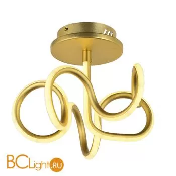 Потолочный светильник Arti Lampadari Angelo L 1.2.35.06 G