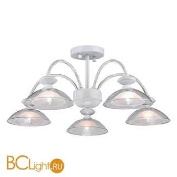 Потолочная люстра Arti Lampadari Noventa E 1.1.5 W