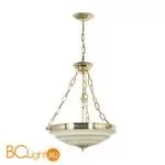 Подвесной светильник Arti Lampadari Pavia E 1.13.40 G - Фото 0