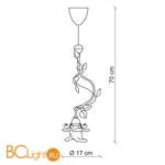 Подвесной светильник Baga XXI Century 1172 - Схема