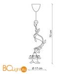 Подвесной светильник Baga XXI Century 1162 - Схема