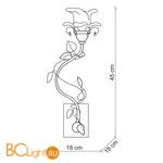 Бра Baga XXI Century 1161 - Схема