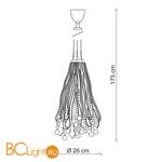 Подвесной светильник Baga Contemporary CR42 - Схема