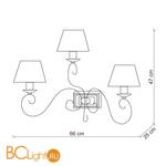 Бра Baga Contemporary 2053 - Схема