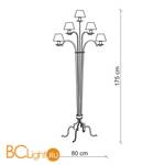 Торшер Baga XXI Century 1052/AV - Схема