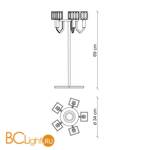 Настольная лампа Baga Bespoke Angie A12G1 - Схема