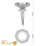 Потолочный светильник Baga Bespoke Sinuosa SN05 M07 Gold | Natural brass - Схема