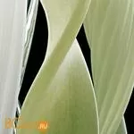 Потолочный светильник Barovier&Toso Penda 6914/050/PB - Фото 0