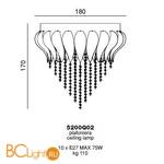 Потолочный светильник Beby Group Bouquet 5200Q02 Chrome White Charmante Acquamarine - Схема