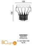 Потолочный светильник Beby Group Bouquet 5200Q03 Rose Rose Acquamarine - Схема