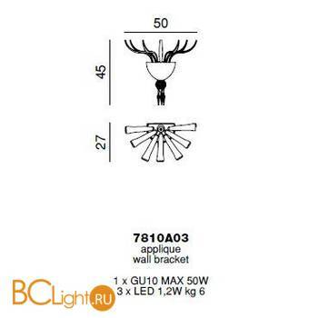 Бра Beby Garden Party 7810A03 Chrome Silver Cortina SW Silver Night - Схема