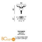 Бра Beby Garden Party 7810A03 Chrome Silver Cortina SW Silver Night - Схема