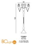 Торшер Beby La Femme 7700P01 Chrome Dark Rome 397 SW Jet - Схема