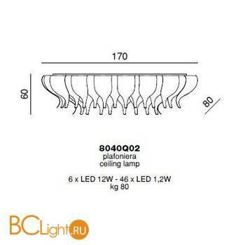Потолочный светильник Beby Group Nymphea 8040Q02 Light gold Golden Portoino - Схема