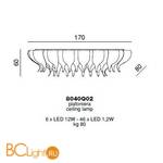 Потолочный светильник Beby Group Nymphea 8040Q02 Light gold Golden Portoino - Схема