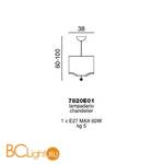 Подвесной светильник Beby Group Pure 7820E01 Chrome Silver Grey 041 - champagne - Схема