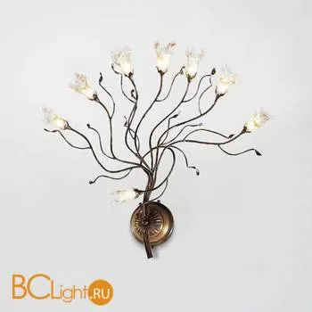 Бра Bellart Soffio 1021/A8L 20/V05