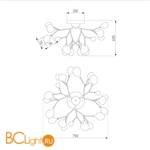 Потолочный светильник Bogate's Foglia 542 - Схема