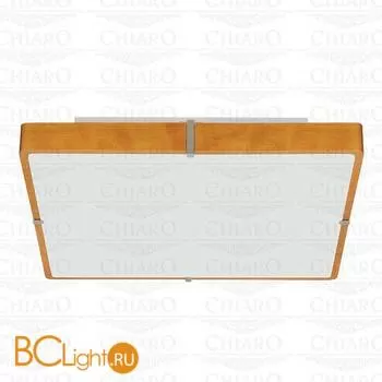 Потолочный светильник Chiaro Эдгар 408010404