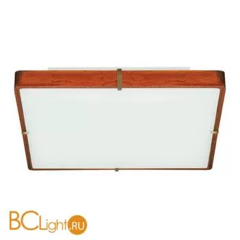 Потолочный светильник Chiaro Эдгар 408010604