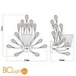 Бра Chiaro Летиция 343021701 - Фото 4