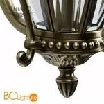 Настенный уличный светильник Chiaro Мидос 802020903 - Фото 1