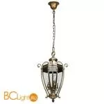 Уличный подвесной светильник Chiaro Мидос 802010703