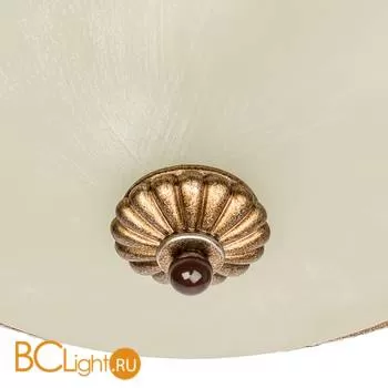 Потолочный светильник Chiaro Версаче 254019804 - Фото 1