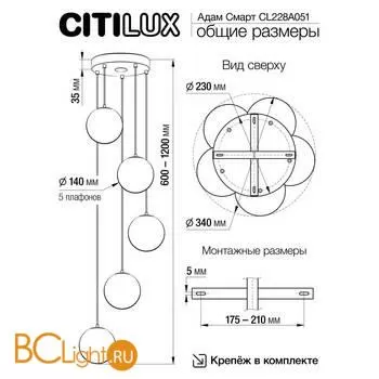 Подвесной светильник Citilux Адам Смарт CL228A051 - Фото 1