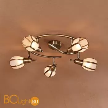 Потолочная люстра Citilux Альтен CL522651