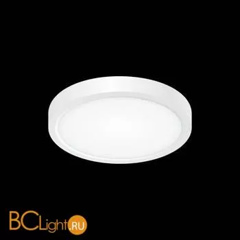 Потолочный светильник Citilux Бейсик CL738120N