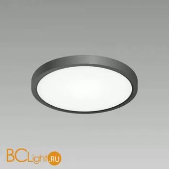 Потолочный светильник Citilux Бейсик CL738181V - Фото 3