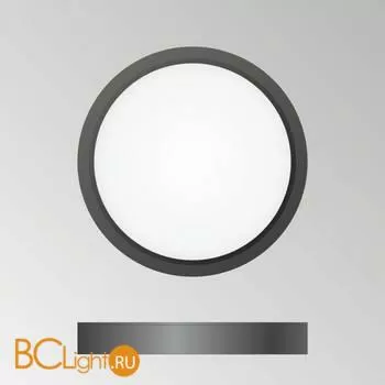 Потолочный светильник Citilux Бейсик CL738121N - Фото 1