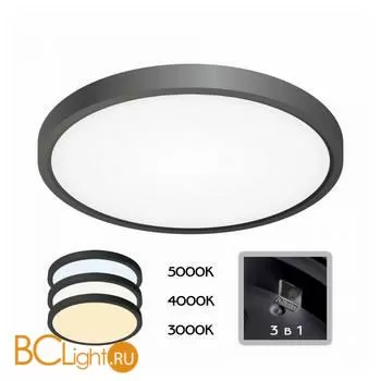 Потолочный светильник Citilux Бейсик CL738241V