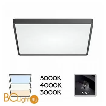 Потолочный светильник Citilux Бейсик CL738K501V