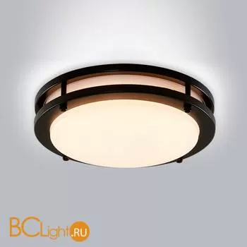 Потолочный светильник Citilux Бостон CL709155