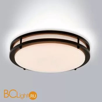 Потолочный светильник Citilux Бостон CL709255